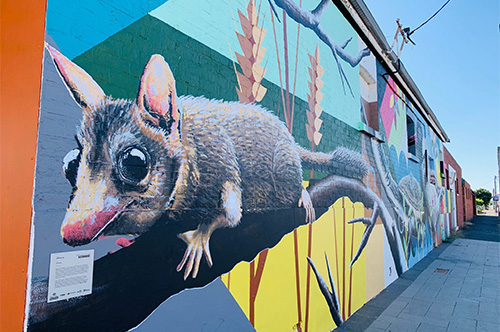 Colourful street art in Katanning