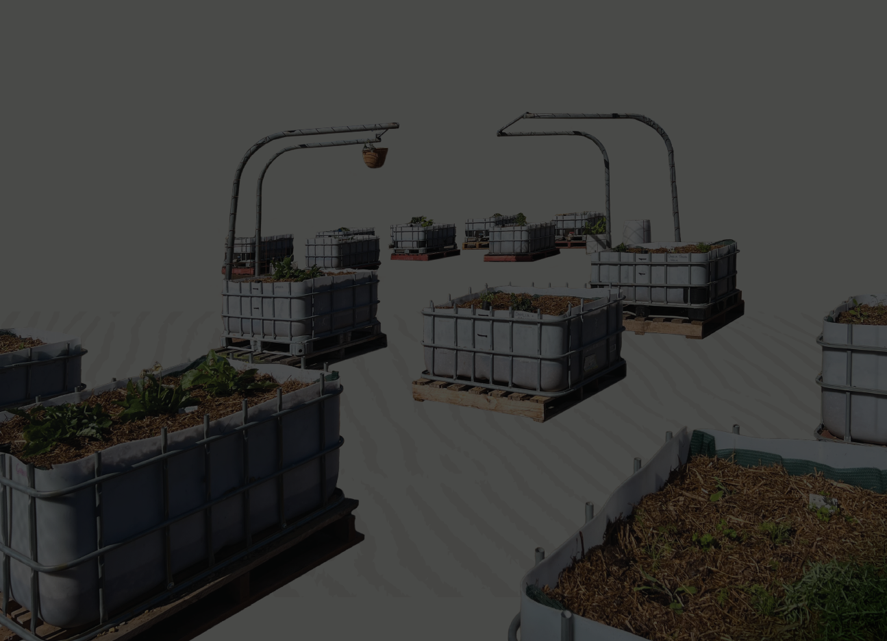 Planting the seeds of rural practice